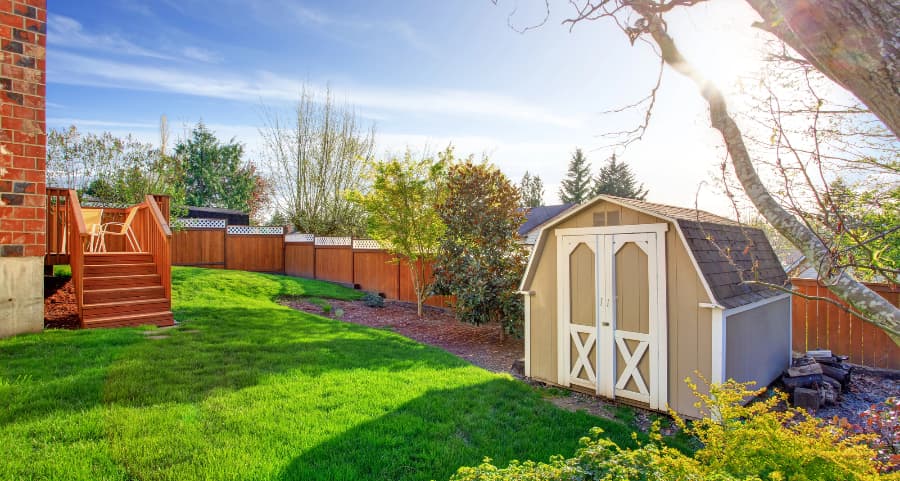 Fenced backyard with storage shed in Albuquerque